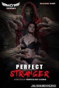 Perfect Stranger (2019) Hindi Web Series HotShots